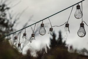 230325-Spring-Bulbs-Luss-001006ce893442431dc8219.jpg