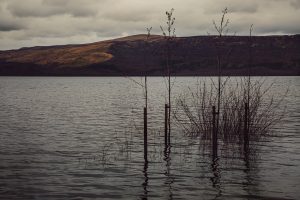 230325-Beachcombing-Luss-009e277607f73e05b8acc06.jpg
