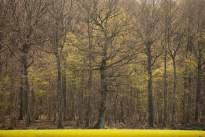 untitled-3134ee7d14902614e996cb6.jpg