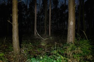 10_Between-the-Great-Portals_Star-of-Ladaa8f9aac34f6ada1b1276.jpg