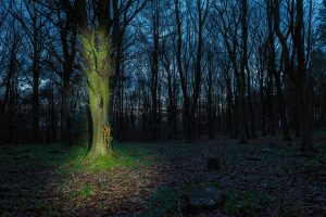 13_Between-the-Great-Portals_Entity46a7d3aa2d098e255504.jpg