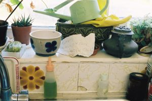 PoppyFrench_Bunnyshouse_4b664fb3c673bb75ffff4.jpg