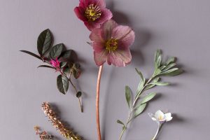 Robinson-Emma-Still-Life-with-Flowers-12thMarch2023ec92083c008f1a731eb5.jpg