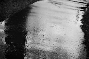 What-Passing-Bells-Edinburgh-The-Meadows-January-2023-XP2-9e6e76185aaaad3c6b461.jpg