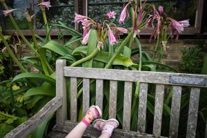 Alice_Chapman_Shutterhub503cc933d27260b2ebaaa.jpg