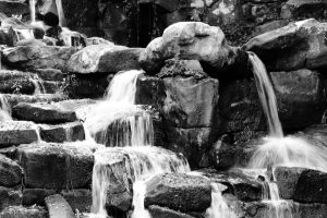 PA140014_DxOac1a867a6f7c897d188f.jpeg