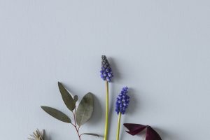 EmmaTSRobinson-Still-Life-with-Flowers-27thMarch9cefcc848ed5a5e05a01.jpg