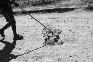richard_alton_359.Boy_with_home-made_caraef50abf18e3c29fb277.jpg