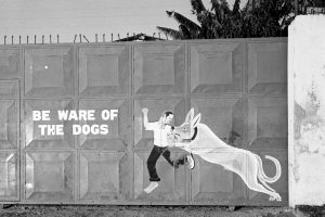 richard_alton_107.Beware_of_the_dogsd2c8d914913853406961.jpg