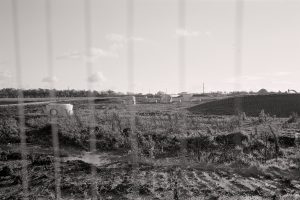 23-150026d5aa98fd5e17cad.jpg
