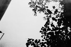 01122023-Lomo-Berlin-Holga-N-0021a2c3fec7df1e350c3f8.jpg