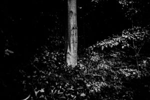 04082023-FP4-1-Holga-N-0010c7669bd3bc0dfc9caa0.jpg
