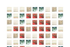 Gaelle-S.-Warner-Spring55cf60e4cf9dbd981be4.jpg
