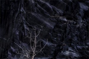 Lone-Tree-Dinorwic-Quarry-Eryrifadcb2ae65d6638befbb.jpg