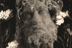 jo_stapleton-_busto-of-a-god-with-a-selection-of-weedsfe88507baaa75f00d33d.jpeg