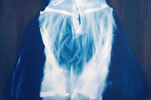 jo_stapleton_photogram-dress8589b974aacbec1029db.jpeg