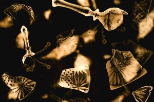 jo_stapleton_smashed-bells-and-liver-cells93b9002e8a880969acc0.jpg