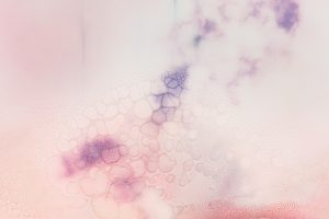 Bubblegum-233c7ab619f620f76dd40.jpeg