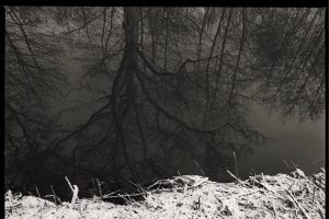 25-3cce13181778d369b90a4.jpg
