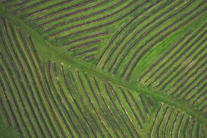 DJI_0086111d48d35a92c9a43c10.jpeg