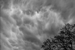 Mammatus-Clouds_Oregon_USA883733b0531e918487e8.jpg
