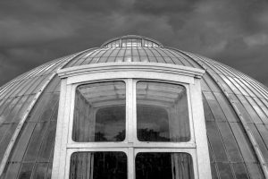 Palm-House-detail_Kew-Gardens_London_UK43d42c679a13f35847a3.jpg