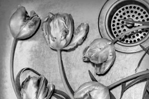 Tulips62446d908ec15de789a6.jpg