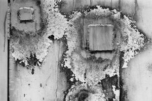 Rust-on-Shipping-Container8383899744c287a67412.jpg