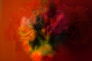 flowers_WEB6348bf78f512f71c8ad9.jpg