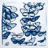 Skyward: a study in Flight
