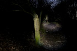 Hidden