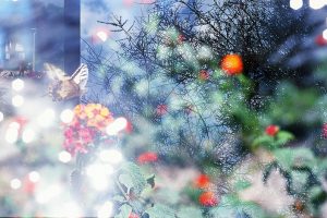 A travel diary of chaotic beauty and colourful abstraction