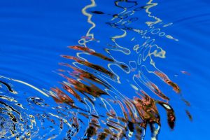 Philibert's Waves 1