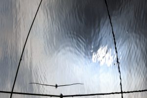 African Cathedral 2
