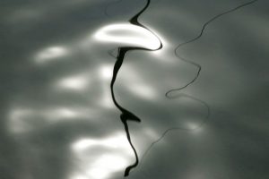 Fjord Dances 1_Karlsoey