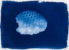 Honeycomb