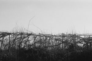 tiinateaspoon-web-3.jpg