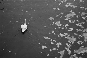 tiinateaspoon-web-4.jpg