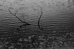 tiinateaspoon-web-8.jpg