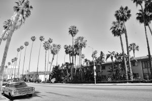 Dayana-S-Marconi_Shot18_Last-seen-in-Hollywood-Blvd.-N-Fuller-Ave.-Hollywood-LA.jpg