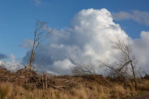 190217-NearlyThereYet-043.jpg