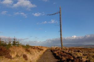190217-NearlyThereYet-063.jpg