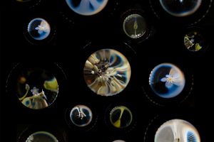 Macro-circles-FABRIC_72dpi_2000px.jpg