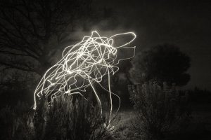 tree16.jpg