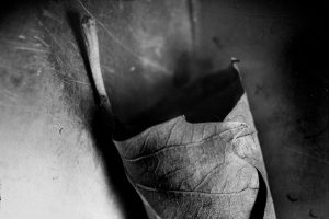 DSC04933-Edit-1.jpg