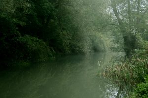 Misty-Morning-River-Mole-CROPPED-1500px.jpg