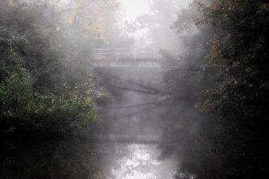 TW-Bridge-2-1500.jpg