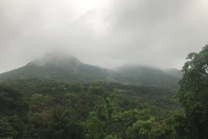 CSIMG_135_1.jpg