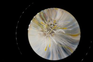 Kit-Martin_Abstract-1.jpg
