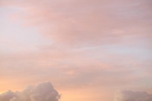 Ellie_Laycock_shutterhub-010.jpg